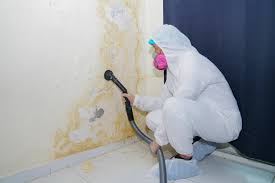 Why You Should Choose Our Mold Remediation Services in Tome, NM